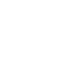 Logo partnera: Stowarzyszenie Literatura Działa